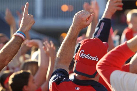 stltoday forums|cardinals fan forum.